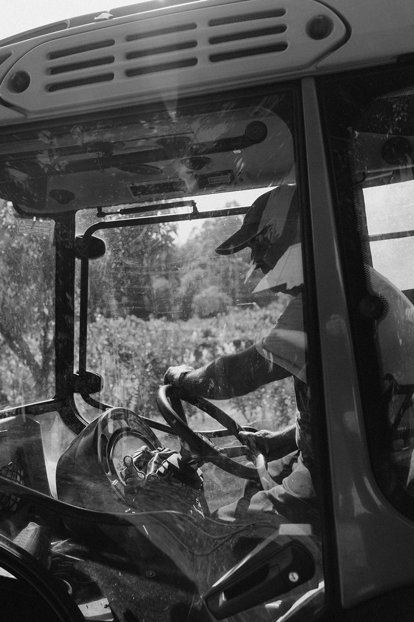 Trabajador en el tractor haciendo las tareas diarias del campo.