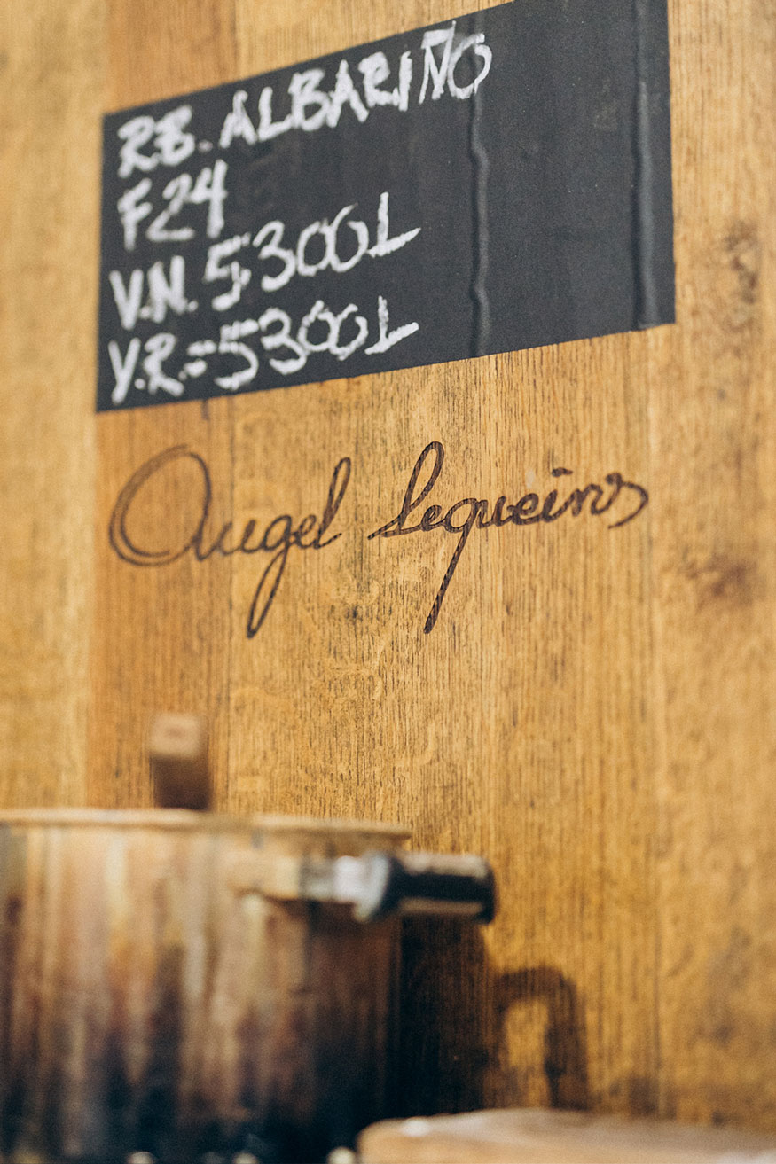 Proceso de vinificación tradicional del albariño